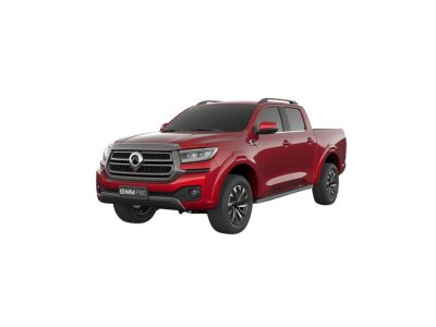 GWM P300 Floor Mats