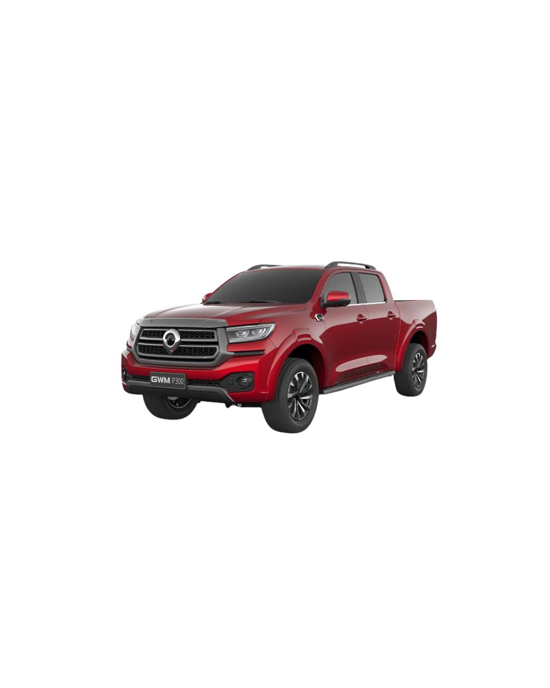 GWM P300 Floor Mats