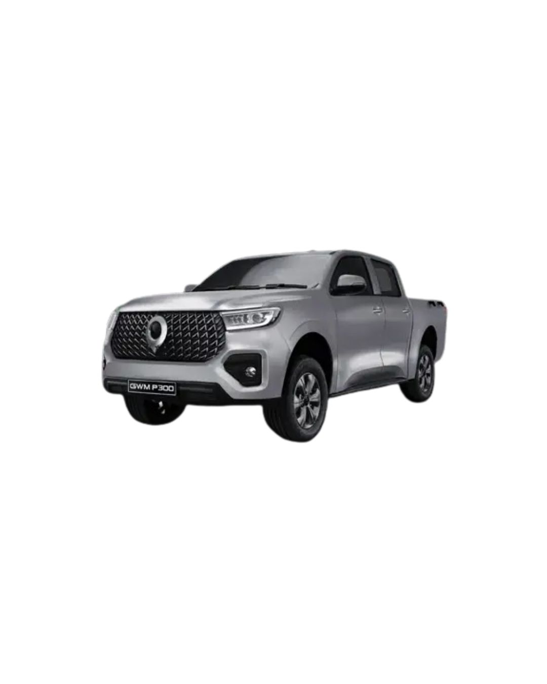 GWM P300 SX Floor Mats